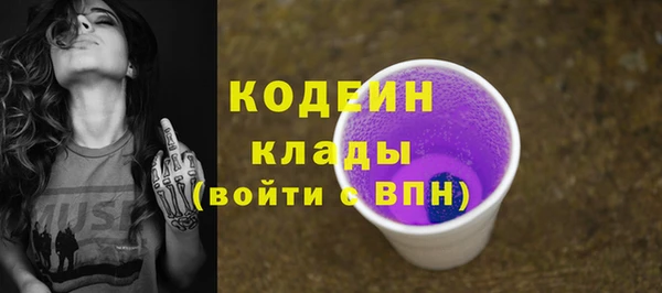 соль ск Гусев