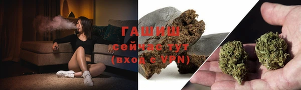 ПСИЛОЦИБИНОВЫЕ ГРИБЫ Горняк