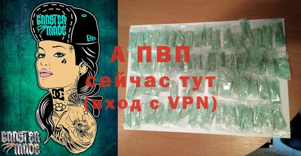 Альфа ПВП Горно-Алтайск