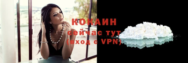 соль ск Гусев