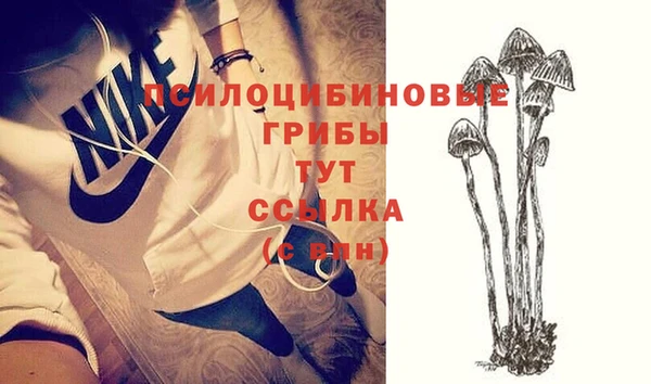 альфа пвп Нягань