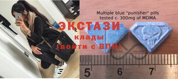 соль ск Гусев