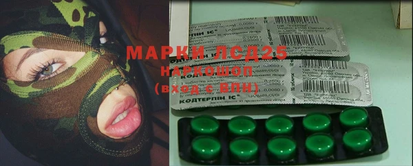 ПСИЛОЦИБИНОВЫЕ ГРИБЫ Горняк