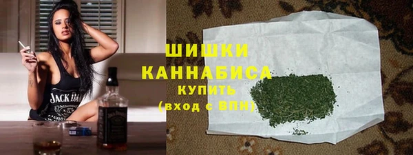индика Яранск